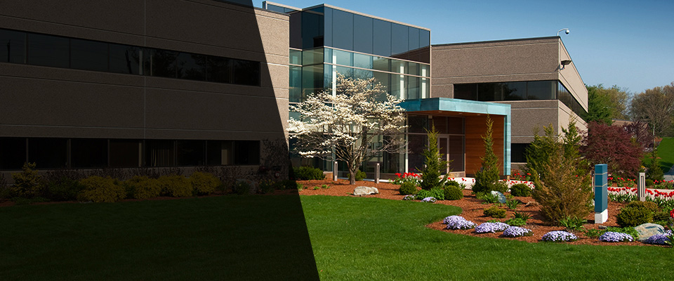 Erwin Landscapers